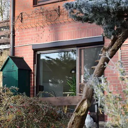 Elbwald-studio